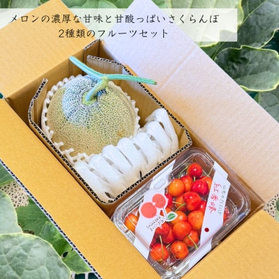 【令和7年発送】さくらんぼとアンデスメロンの詰め合わせ　期間限定