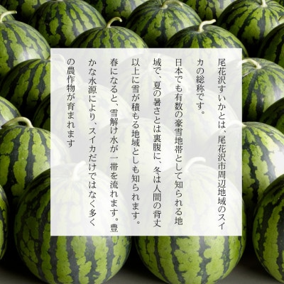 山形県産　すいか　大玉1玉