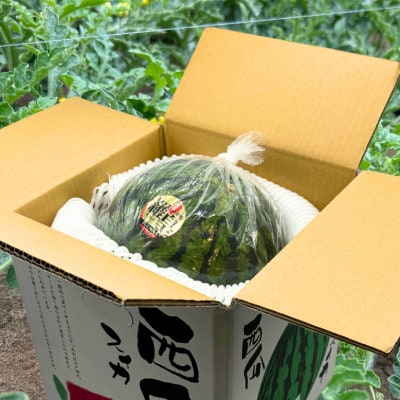 山形県産　すいか　大玉1玉