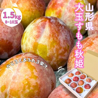 山形県産 大きめサイズのすもも秋姫 1.5kg(8～10玉) 秀品 贈答品《令和8年度発送》