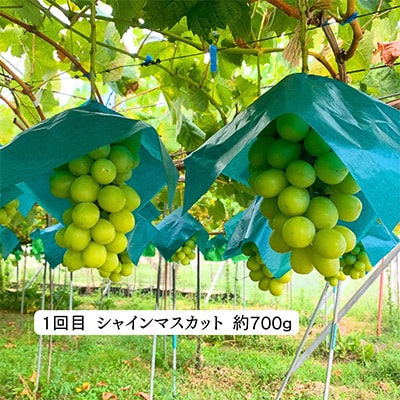 【発送月固定定期便】節句ギフト『紅葉・正月・桃の節句』　定期便全3回