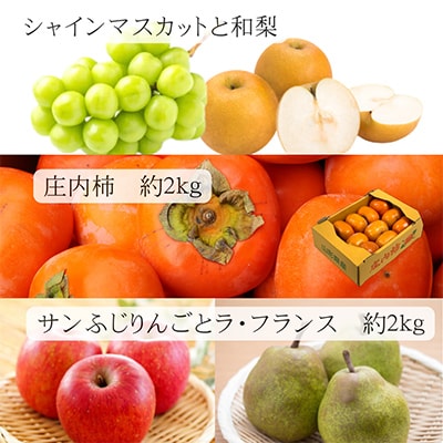 【発送月固定定期便】【令和6年度発送】山形“王道”フルーツ便 全5回