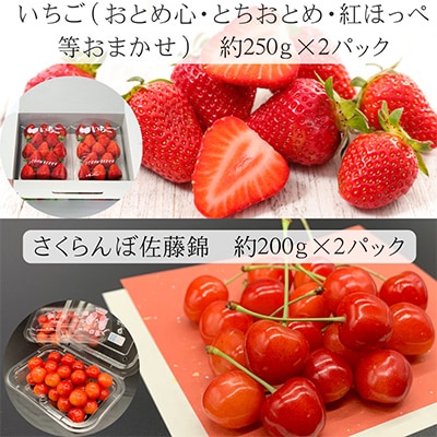 【発送月固定定期便】【令和6年度発送】みちのく　春夏「紅」ギフト 全3回
