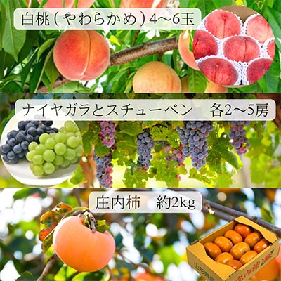 【発送月固定定期便】【令和6年度発送】山形産直人気フルーツ便 全5回