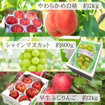 【発送月固定定期便】【令和6年度発送】みちのく　初摘み便 全5回