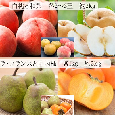 【発送月固定定期便】【令和6年度発送】　みちのく“立秋”詰合せフルーツ定期便 全4回