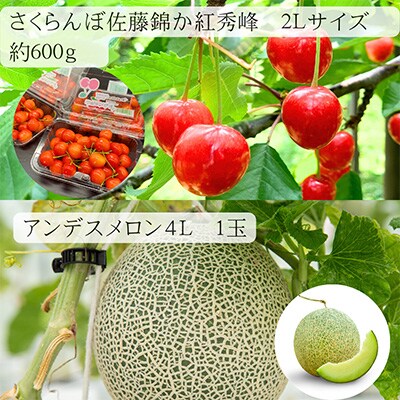 【発送月固定定期便】【令和6年度発送】満足の「大玉」シリーズ定期便 全5回