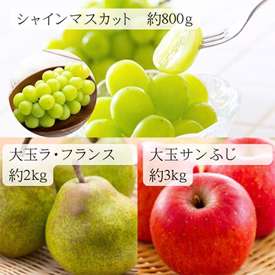 【発送月固定定期便】【令和6年度発送】満足の「大玉」シリーズ定期便 全5回
