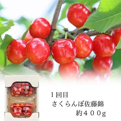 【発送月固定定期便】やまがた初夏の果実 全3回