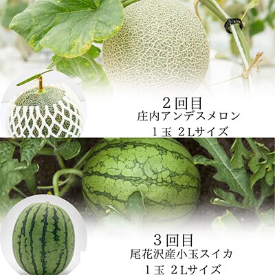 【発送月固定定期便】やまがた初夏の果実 全3回