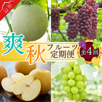【発送月固定定期便】やまがた爽秋フルーツ 全4回