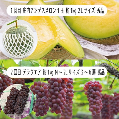【発送月固定定期便】やまがた爽秋フルーツ 全4回