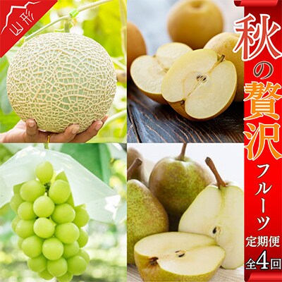 【発送月固定定期便】やまがた秋の贅沢フルーツ 全4回