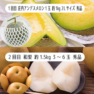 【発送月固定定期便】やまがた秋の贅沢フルーツ 全4回