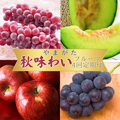【発送月固定定期便】やまがた 秋味わいフルーツ 全4回