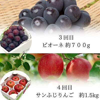 【発送月固定定期便】やまがた 秋味わいフルーツ 全4回