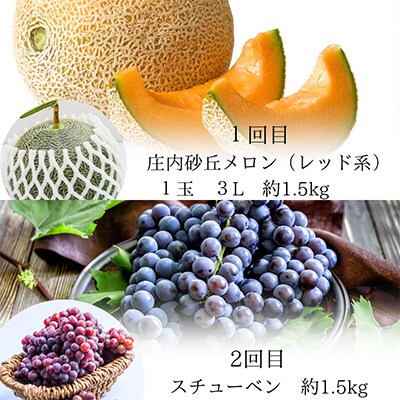 【発送月固定定期便】やまがた 魅惑の秋フルーツ 全4回