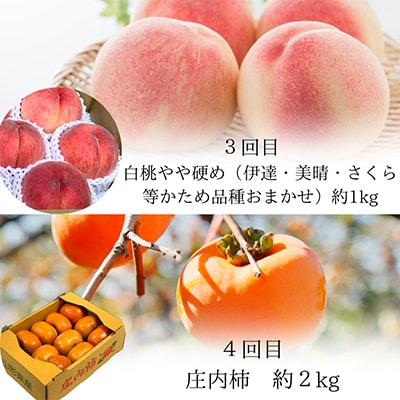 【発送月固定定期便】やまがた 魅惑の秋フルーツ 全4回
