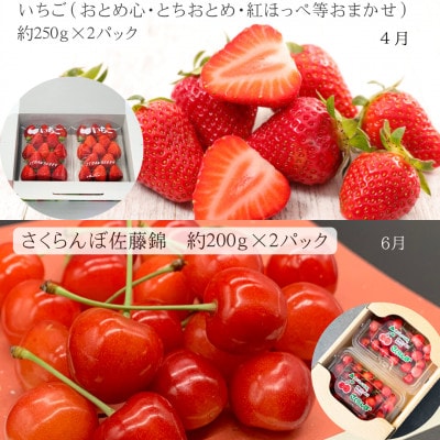 【発送月固定定期便】みちのく春夏「紅」山形フルーツギフト全3回