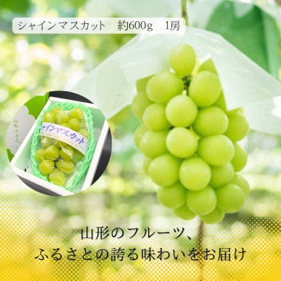 【発送月固定定期便】【令和7年発送】みちのく　夏秋“実り”ギフト定期便全3回