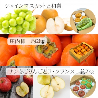 【発送月固定定期便】【令和7年発送】山形“王道”フルーツ便全5回