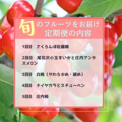 【発送月固定定期便】【令和7年発送】山形“王道”フルーツ便全5回