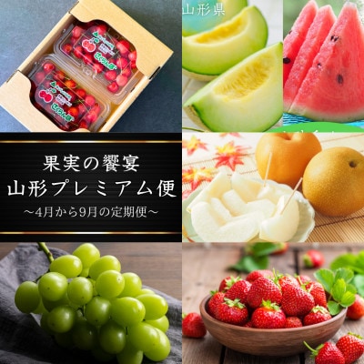 【発送月固定定期便】果実の饗宴 山形プレミアム便全4回