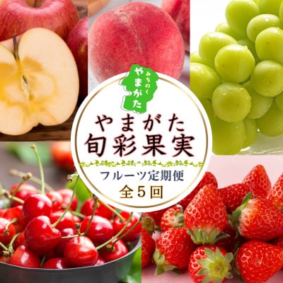 【発送月固定定期便】やまがた旬彩果実便【令和7年発送】全5回