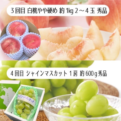 【発送月固定定期便】夏秋みちのくフルーツ定期便全4回