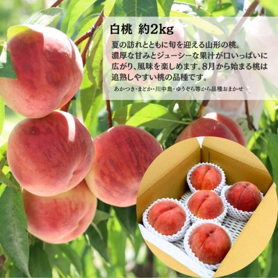 【発送月固定定期便】みちのく山形フルーツ三重奏　〜桃・シャインマスカット・いちご〜定期便全3回