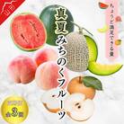 【発送月固定定期便】真夏みちのくフルーツ定期便　～瑞々しいフルーツハーモニ～全3回