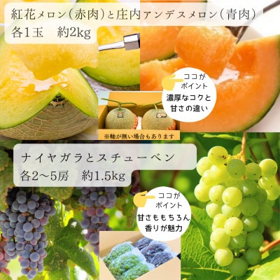 【発送月固定定期便】R8年度みちのく「立秋」詰合せフルーツ定期便　一度に2品種のフルーツお届け全4回