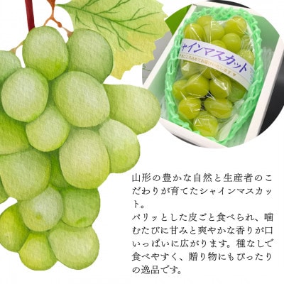 【発送月固定定期便】秋　旬のフルーツ定期便　食べきりサイズのフルーツライン全4回