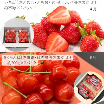 【発送月固定定期便】みちのく春夏「紅」山形フルーツギフト いちご・さくらんぼ・メロン全3回