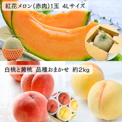 【発送月固定定期便】<令和8年発送>みちのく大暑 夏のフルーツ定期便全4回