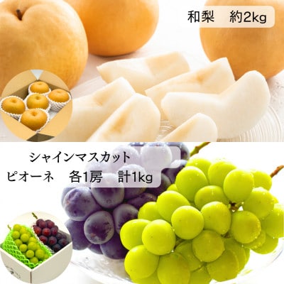 【発送月固定定期便】<令和8年発送>みちのく大暑 夏のフルーツ定期便全4回