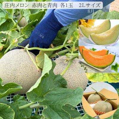 【発送月固定定期便】【2027年4月より発送予定】みちのく春夏「紅」山形フルーツギフト全3回