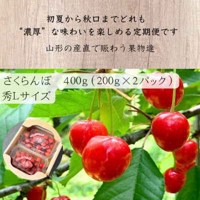 【発送月固定定期便】【2027年6月より発送予定】山形「産直人気」フルーツ便全5回