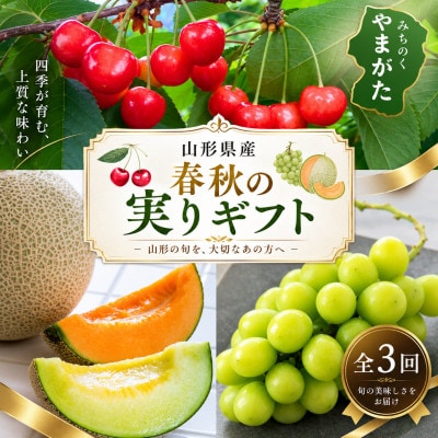 【発送月固定定期便】【令和9年発送】みちのく　夏秋「実り」ギフト定期便全3回