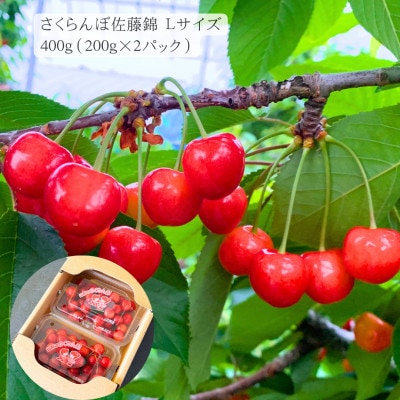 【発送月固定定期便】【令和9年発送】みちのく　夏秋「実り」ギフト定期便全3回