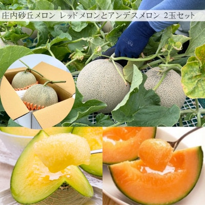 【発送月固定定期便】【令和9年発送】みちのく　夏秋「実り」ギフト定期便全3回