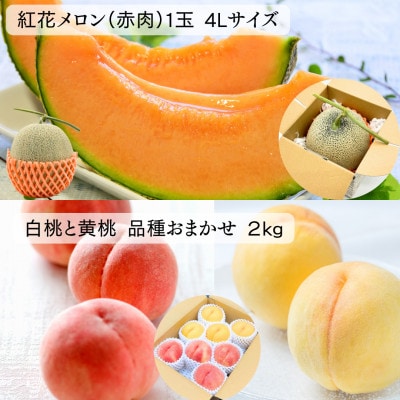 【発送月固定定期便】[令和9年発送予定]みちのく大暑　夏のフルーツ定期便全4回