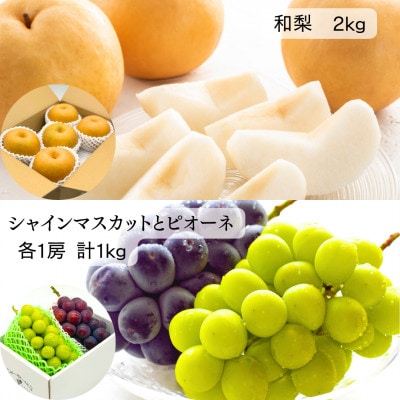【発送月固定定期便】[令和9年発送予定]みちのく大暑　夏のフルーツ定期便全4回