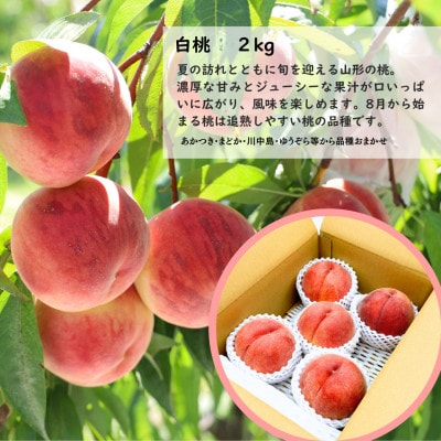 【発送月固定定期便】【令和9年発送】みちのく山形　☆スリースター定期便☆全3回