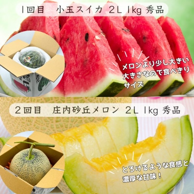 【発送月固定定期便】【令和9年発送】真夏みちのく[フルーツ定期便～瑞々しいフルーツハーモニ～]全3回