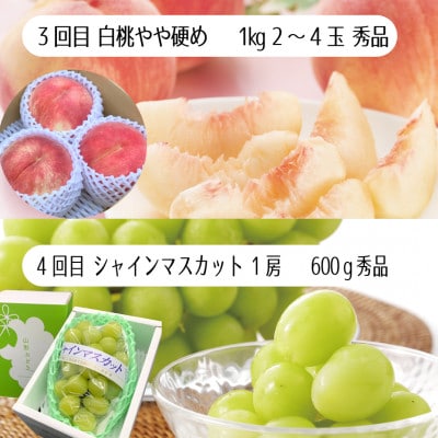 【発送月固定定期便】【令和9年発送】夏秋みちのくフルーツ定期便全4回
