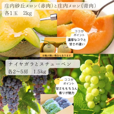【発送月固定定期便】令和9年発送　みちのく「立秋」詰合せフルーツ定期便　一度に2品種のフルーツ全4回