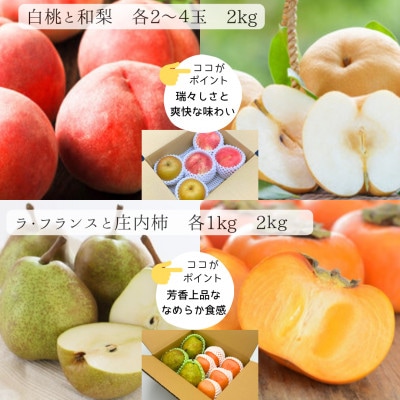 【発送月固定定期便】令和9年発送　みちのく「立秋」詰合せフルーツ定期便　一度に2品種のフルーツ全4回