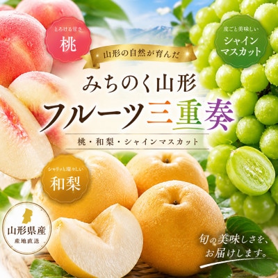 【発送月固定定期便】【令和9年発送予定】みちのく山形フルーツ三重奏　桃・梨・シャインマスカット全3回