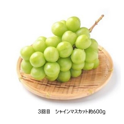 2023年6月発送開始『定期便』【令和5年度発送】みちのく　夏秋“実り”ギフト　全3回